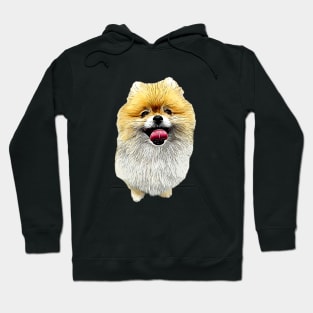 Pomeranian Dog Cutes Puppy Hoodie